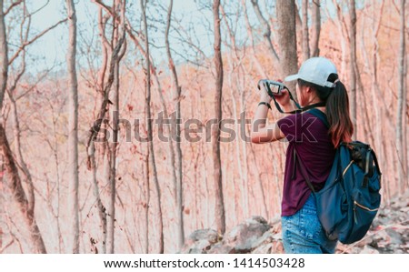 Photographer women using Camera DSLR, Mirror less Digital Single Lens Reflex take a photo Mountain tree . Travel Concept. Hiker concept.