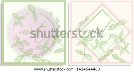 Vector set of postcards templates, invitation with hand-drawn graphics sprigs of beautiful mint, Gently color shades of green, white, pink gradient. Lettering: mint, you can change or use as it is