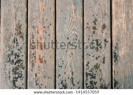 The texture of a wooden pier. Raindrops on the surface of wooden boards. Walk around Tashkent city.