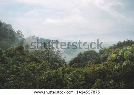 View of mountain with foggy after rain.
