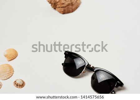 Sea shells and black sunglasses