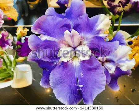 Spring summer wedding flowers purple white yellow red wonderful flower concept shooting natural. 