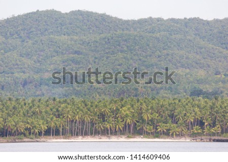white sand beach with coconut palm trees on a littel island with green hills and mountain a idyllic tropical scene