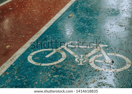 Wet bike path. Walk through the streets of Tashkent. Rainy weather.