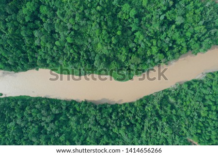 River in rainforest aerial photo 