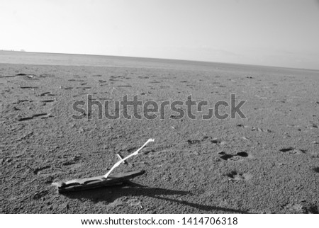 endless plains of sand with stick