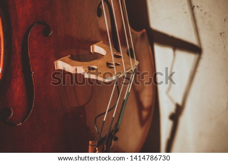 Musical instrument double bass close-up