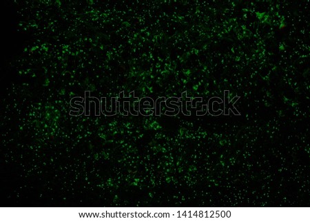 Abstract background with space to place a product for merchandising and add copy text. Black background with green splashes of colour. bokeh.