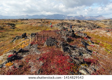 Picturesque volcanic landscape with black stones and boulders of lava in autumn seasons. Snowy volcanoes on the background. Kamchatka peninsula, Russia.