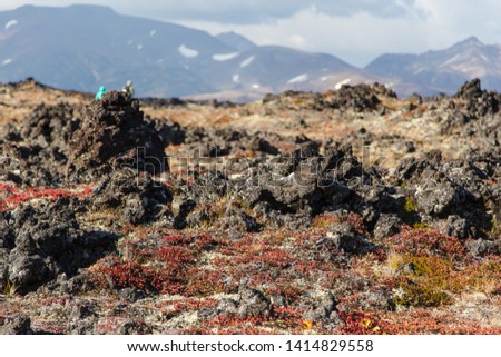Picturesque volcanic landscape with black stones and boulders of lava in autumn seasons. Snowy volcanoes on the background. Kamchatka peninsula, Russia.
