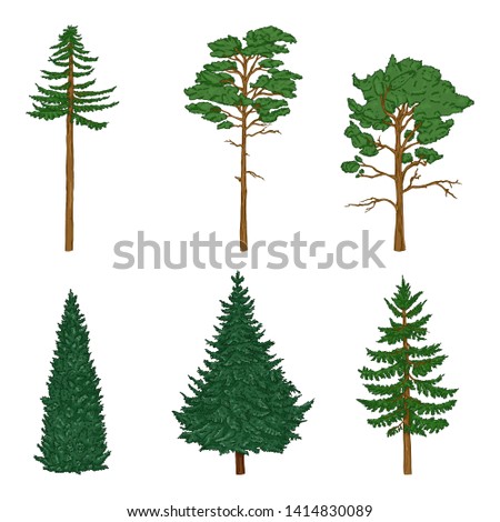 Vector Set of Cartoon Pin Trees, Cedar and Spruce. Evergreen Trees.