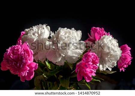 A bouquet of white and red peonies in a transparent vase on a dark background