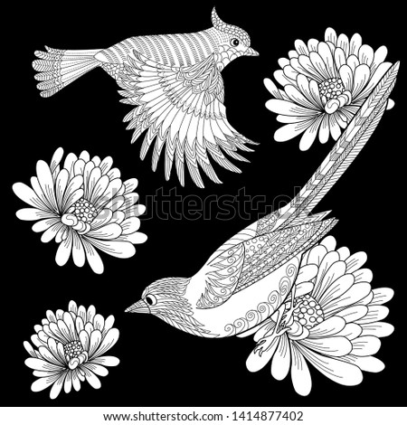 Coloring Pages. Coloring Book for adults and children. Colouring pictures with birds and flowers. Antistress freehand sketch drawing with doodle and zentangle element