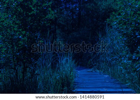 Dark scary wooden path in a creepy forest