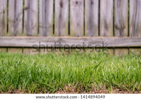 Side view of beautiful green growing grass near a wooden fence