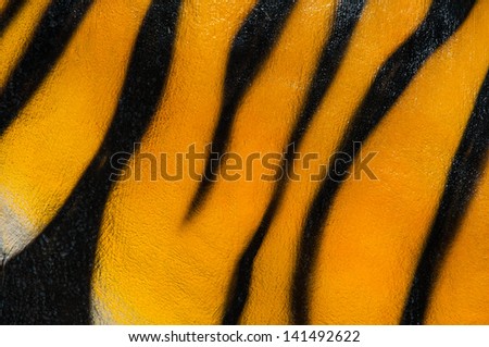 Yellow tiger pattern on cement board