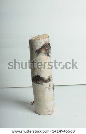 birch log on white background