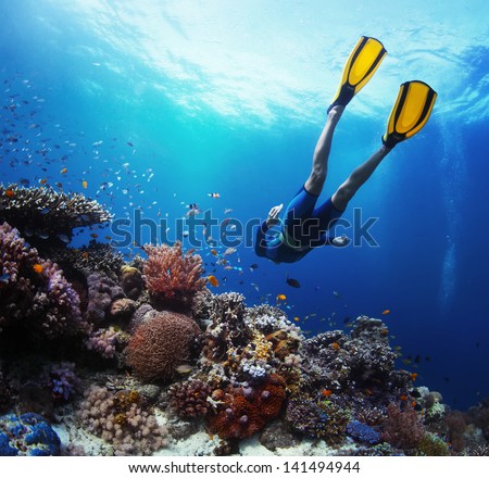 Freediver gliding underwater over vivid coral reef Royalty-Free Stock Photo #141494944