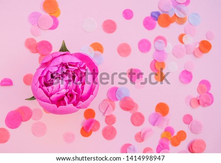 Flat lay of beautiful pink peony flower on pink background with colorful confetti.