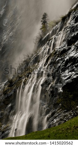 Incredible stunning beautiful waterfall down cliffs with tree. Staubbach Falls,  Lauterbrunnen - Switzerland