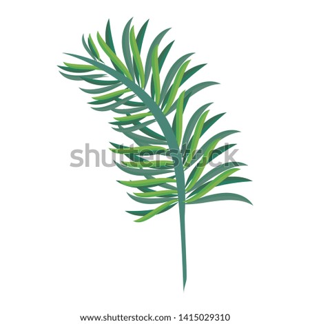 Tropical leaves nature cartoon isolated vector illustration graphic design