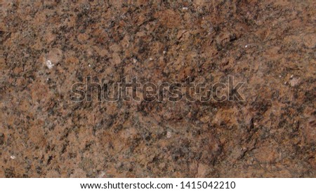 texture and background of a large and