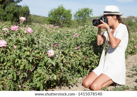 beautiful woman photographer taking a shut in rose field