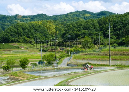 Rice planting in kyoto japan agriculture countryside