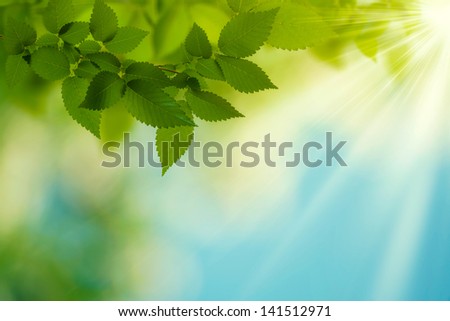 Beauty Summer Day. Abstract environmental backgrounds for your design Royalty-Free Stock Photo #141512971