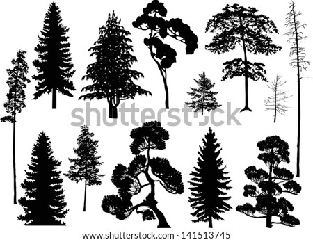 illustration with trees set isolated on white background