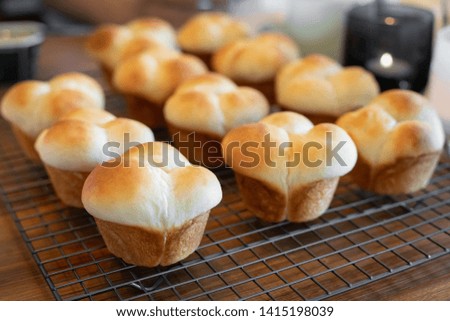 Freshly baked white bread muffins on a cooling rack, in a baking concept, with space for text on top