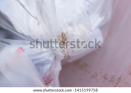 plastic garbage bag with small fire ant army,nature against industry