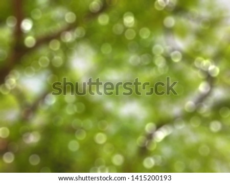 Bokeh background, green leaves, blurred
