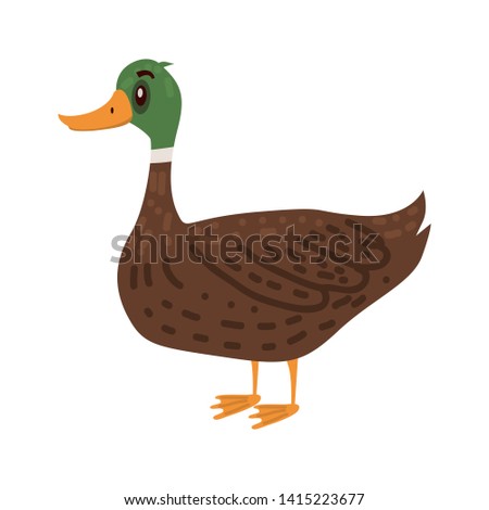 Cute duck, animal, bird, trend, cartoon style, vector, illustration, isolated on white background