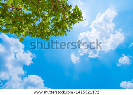 Beautiful Blue Sky Background with White Clouds and Tree. Picture for Summer Season.