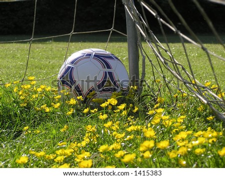 Close-up soccer ball in the net and on a carpet of yellow summer flowers