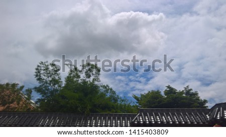 tree above beautiful Chinese roof with the sky