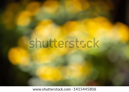 Yellow and green blurred bokeh background from unfocused photography shot