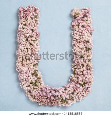 The letter U of the Roman english alphabet is lined with lilac flowers on a blue background