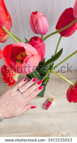 Female hand with long nails and bottle with red bordo nail varnish