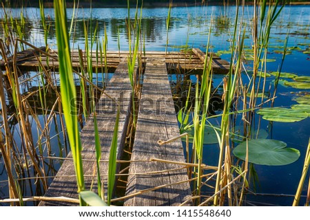 Old rustic wooden jetty on a tranquil lake with reeds and wild grasses on the bank and reflections on the water