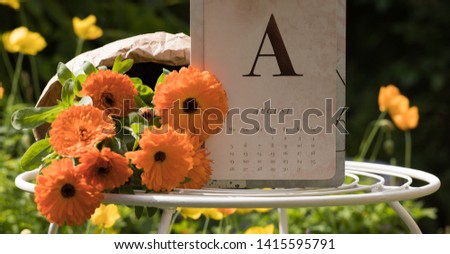 Close-up: Calendar of August and Beautiful Orange Flowers of Calendula on Wrapping Paper are on Garden Table in Sunny Day. Horizontal Image. Concept: Summer Gardening.