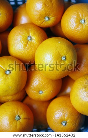beautiful oranges was yummy on white background