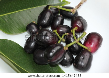 Jambolan Fruit on Isolated Background