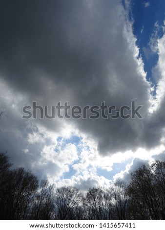 A vertically oriented photo of a partly cloudy sky over a forest clearing during the daytime