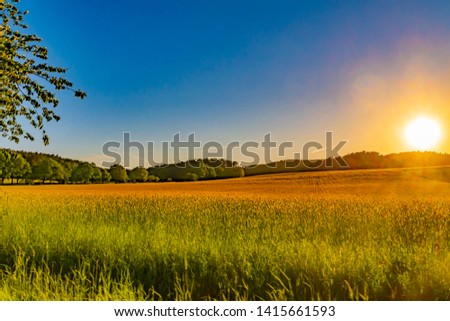 View over fields and trees in the light of the setting sun in the Lüneburg Heath in Germany. The sunbeams outshine the picture in warm light and lead to a slight blur by the viewer.