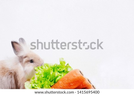 adorable brown bunny or rabbit is sitting near the basket of vegetables, and white background.
