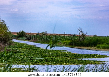 On the bank of a quiet winding river covered with blooming water lilies. The bank of the river is framed by reeds and trees. The blue sky is covered with cirrus and cumulus clouds.