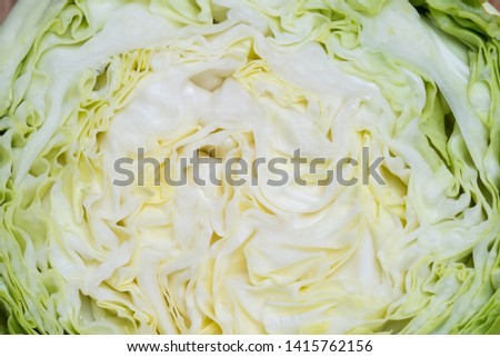 texture of cabbage cut in half macro