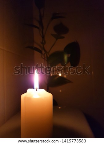 candle is burn with tree background in a dark room
